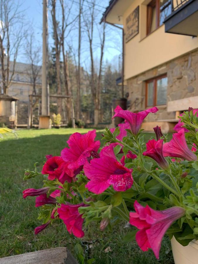 Willa Wysoka Zakopane Dış mekan fotoğraf